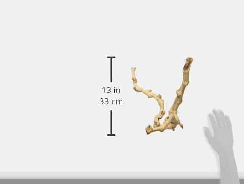 Zoo Med Sandblasted Grapevine, Medium, 12-Inch