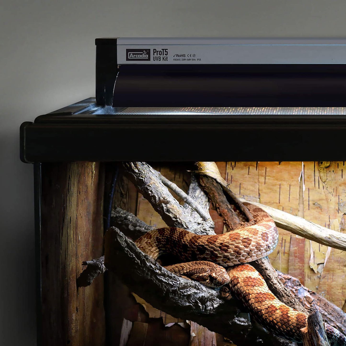 Arcadia Pro T5 UVB Lighting Kit - 24W - Dragon