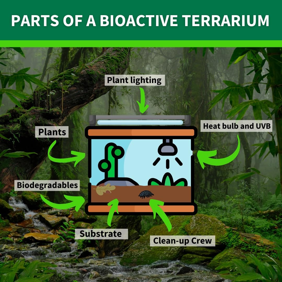 BIODUDE The Bio Dude Terra Sahara Bioactive Reptile Substrate 18 quarts for terrariums and vivariums. Great for All Bearded Dragons, Leopard Geckos, Uromastyx, Tarantulas and Desert Plants