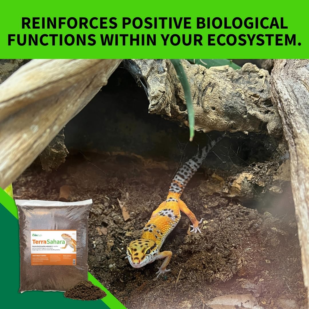 BIODUDE The Bio Dude Terra Sahara Bioactive Reptile Substrate 18 quarts for terrariums and vivariums. Great for All Bearded Dragons, Leopard Geckos, Uromastyx, Tarantulas and Desert Plants